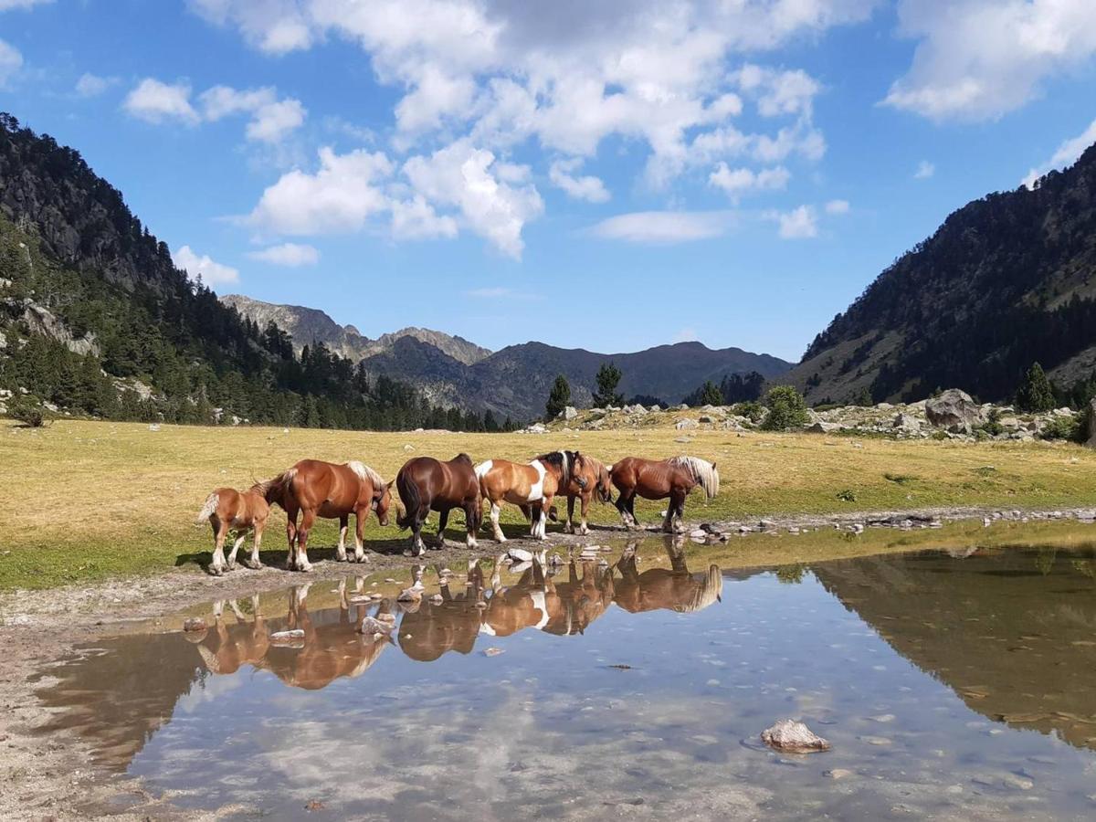 Studio Cosy Avec Balcon, Parking Et Coin Nuit Separe - 4 Couchages A Cauterets - Fr-1-234-249 Экстерьер фото